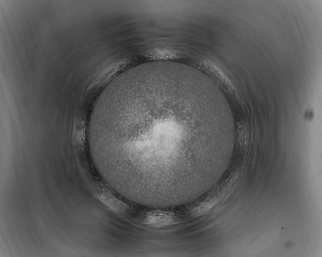 X0000100340549200806121153