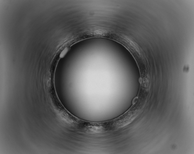 X0000100340552200806121153