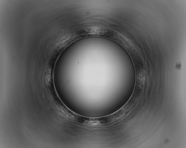 X0000100340554200806121153