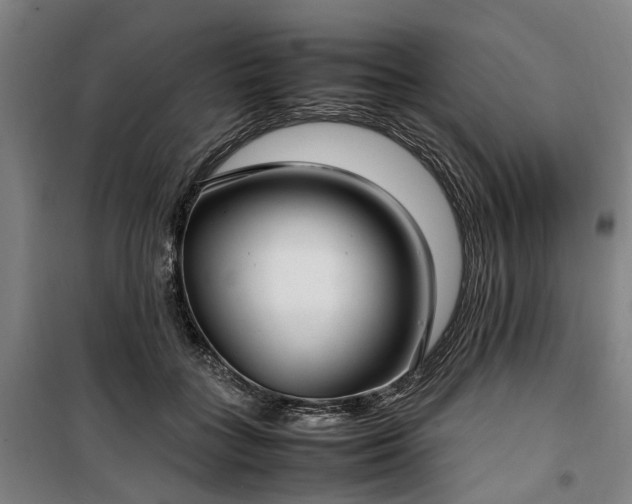 X0000100340555200806121153