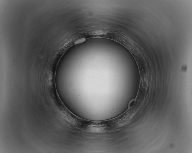 X0000100340556200806121153