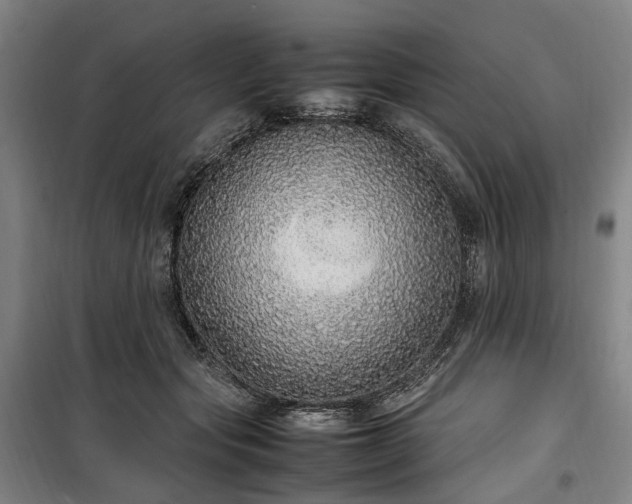 X0000100340557200806121153