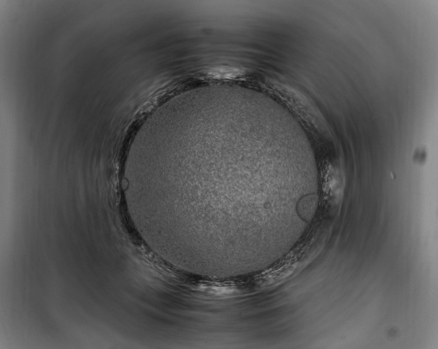 X0000100340559200806121153