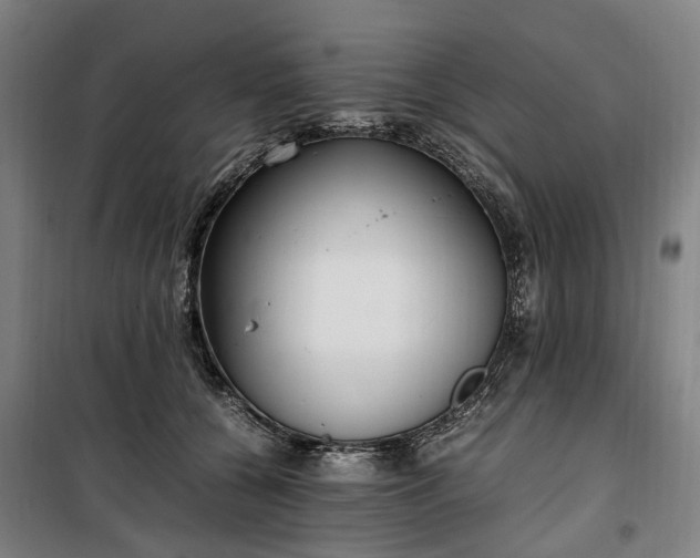 X0000100340560200806121153