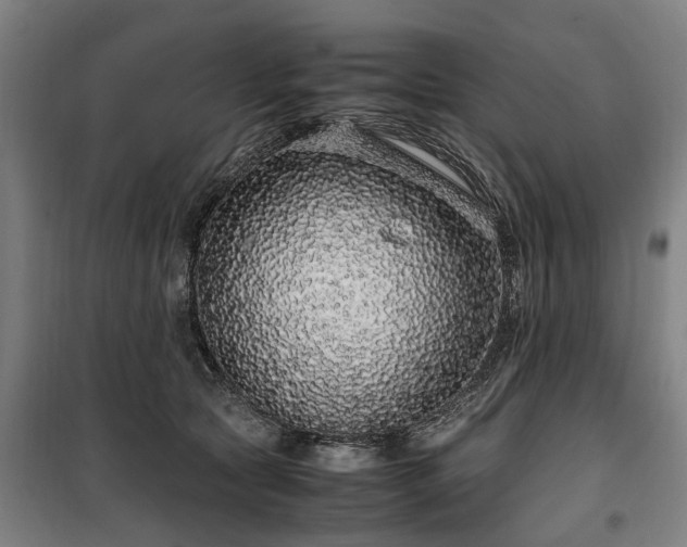 X0000100340561200806121153