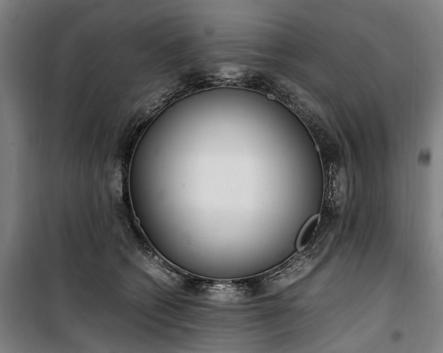 X0000100340562200806121153