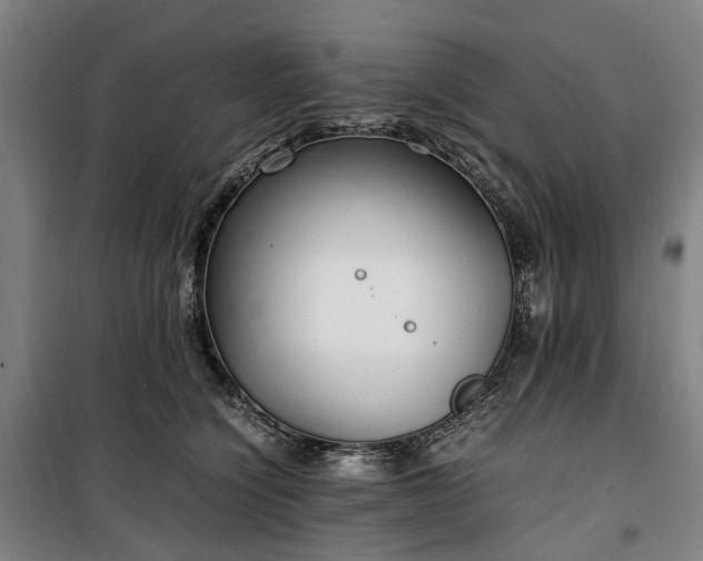 X0000100340564200806121153