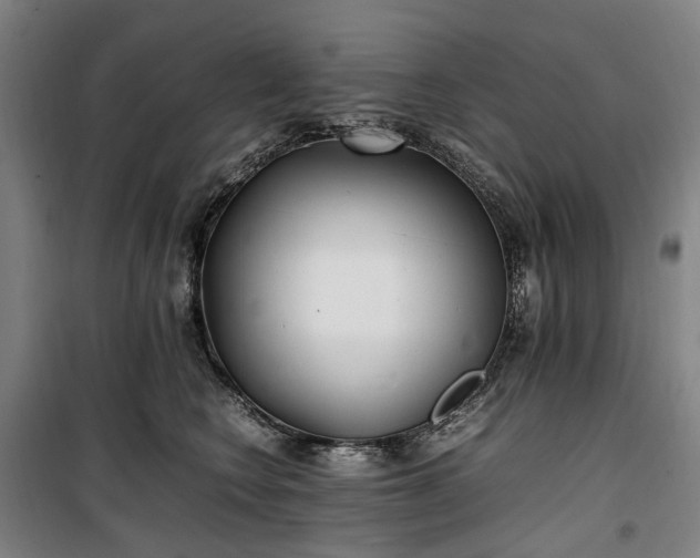 X0000100340566200806121153