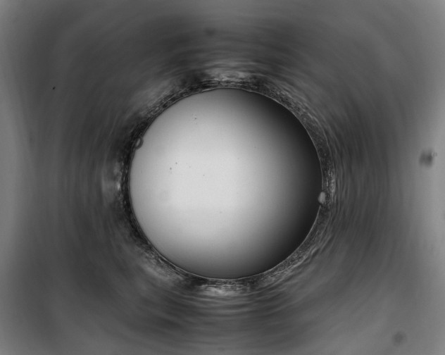 X0000100340567200806121153