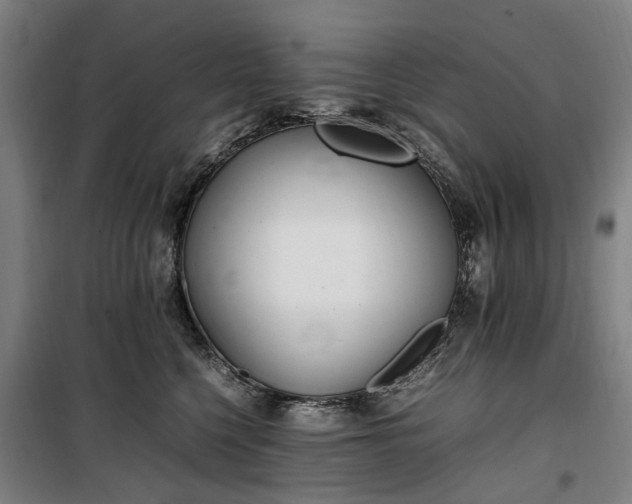 X0000100340568200806121153