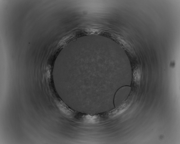 X0000100340570200806121153