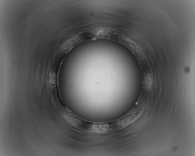 X0000100340571200806121153