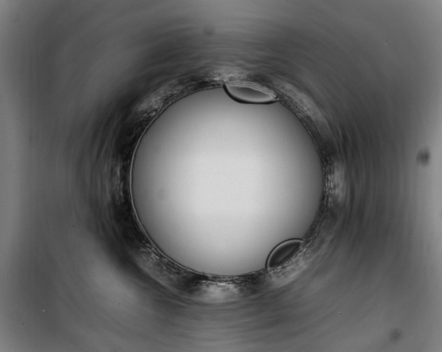 X0000100340572200806121153