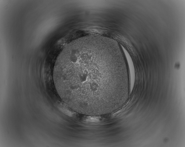 X0000100340573200806121153