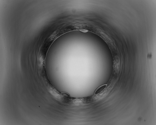 X0000100340574200806121153