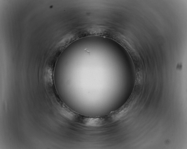 X0000100340575200806121153