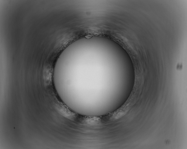 X0000100340576200806121153