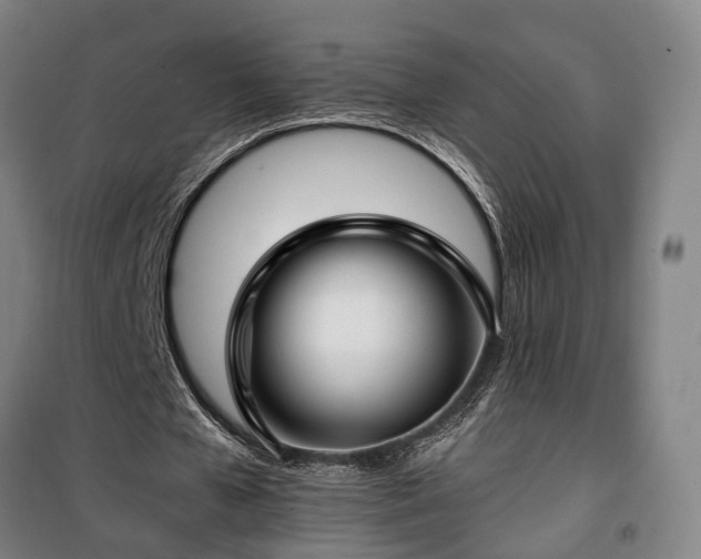 X0000100340577200806121152