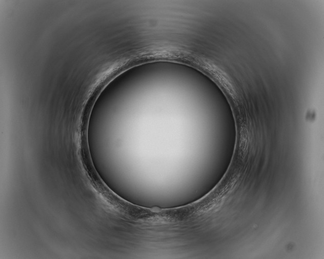 X0000100340578200806121152