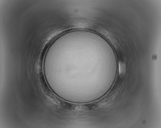 X0000100340579200806121152