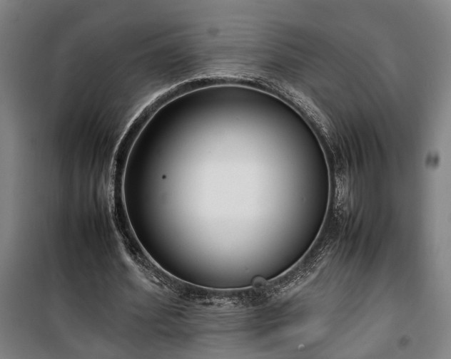 X0000100340580200806121152