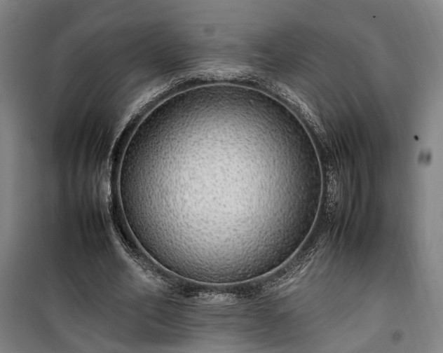 X0000100340582200806121152