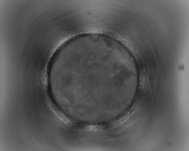 X0000100340584200806121152