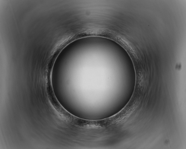 X0000100340586200806121152