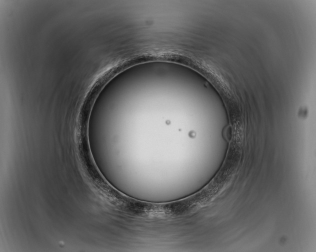 X0000100340587200806121152