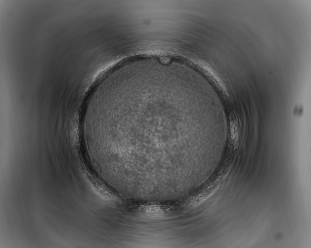 X0000100340588200806121152