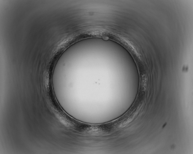 X0000100340589200806121152