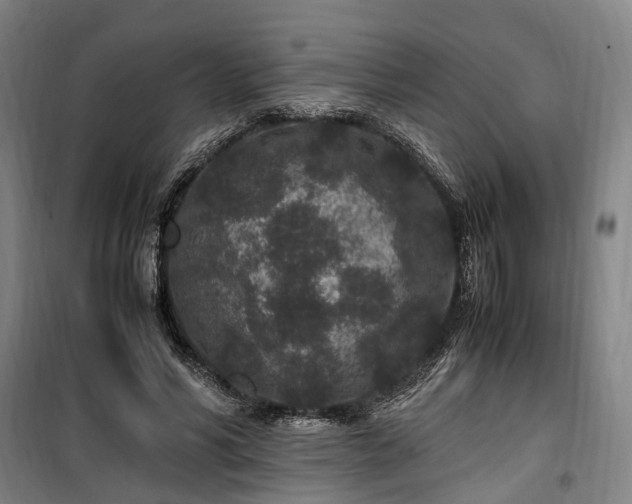 X0000100340590200806121152