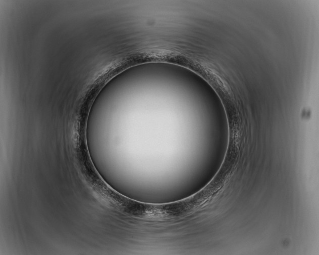 X0000100340591200806121152