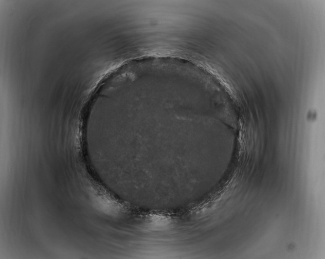 X0000100340592200806121152