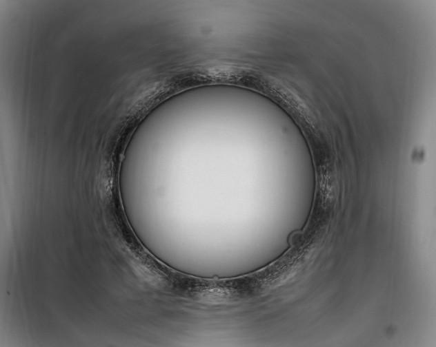 X0000100340593200806121152