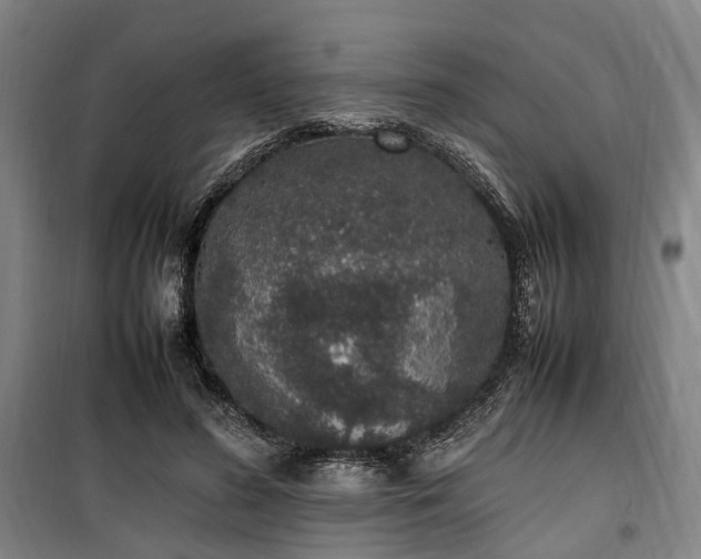 X0000100340596200806121152