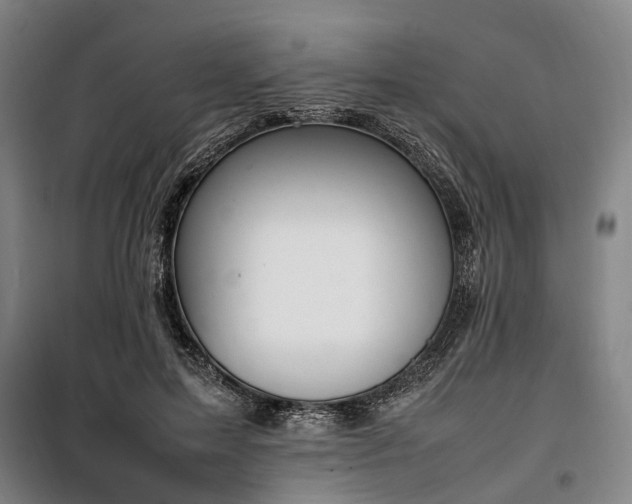 X0000100340599200806121152