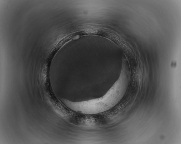 X0000100340600200806121152