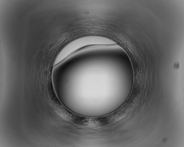 X0000100340601200806121152