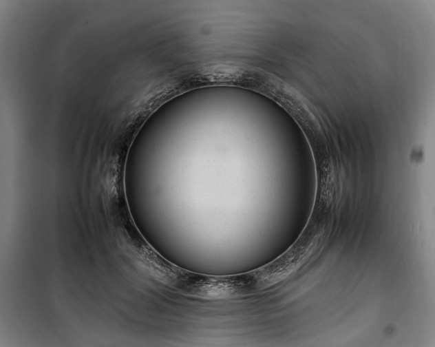 X0000100340604200806121152