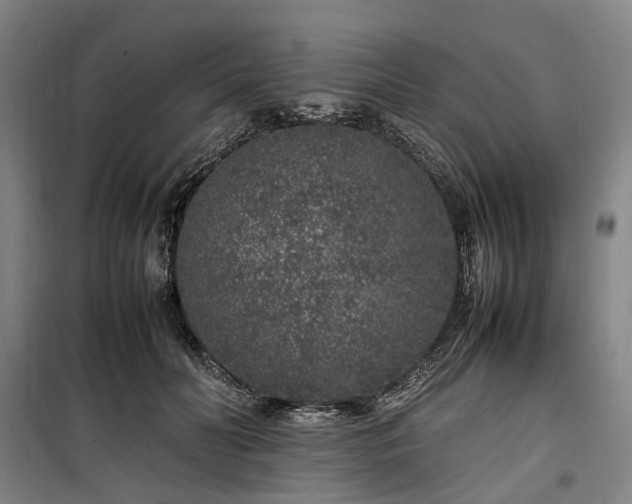 X0000100340606200806121152