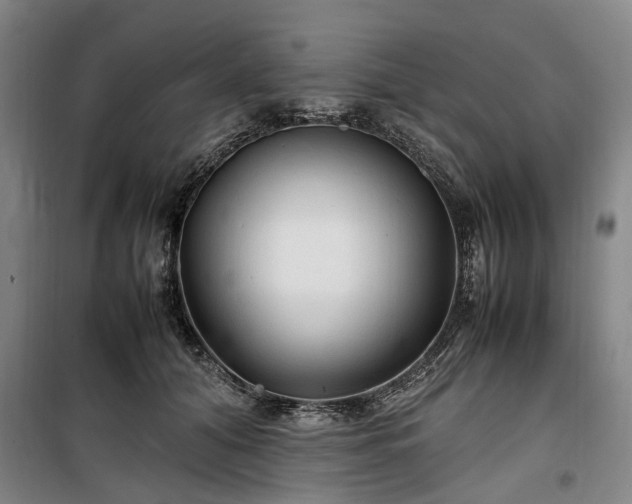 X0000100340608200806121152