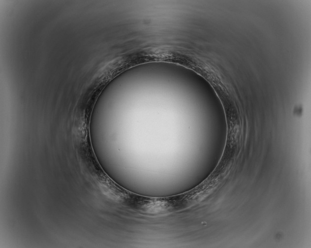 X0000100340609200806121152