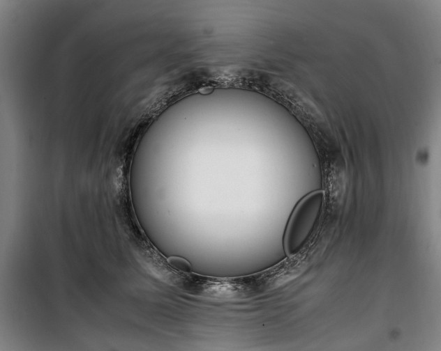 X0000100340611200806121152