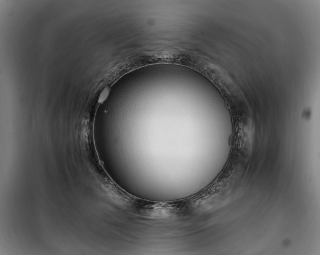 X0000100340612200806121152