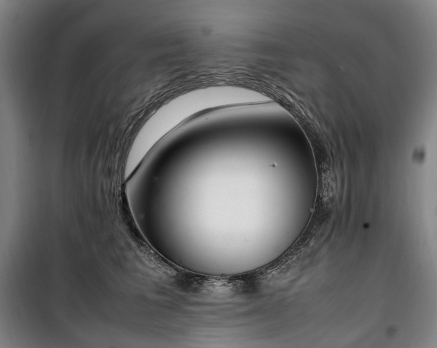 X0000100340613200806121152