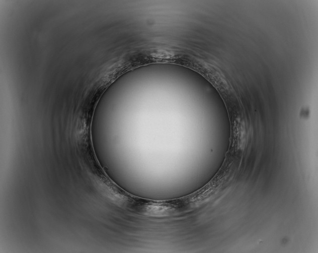 X0000100340614200806121152