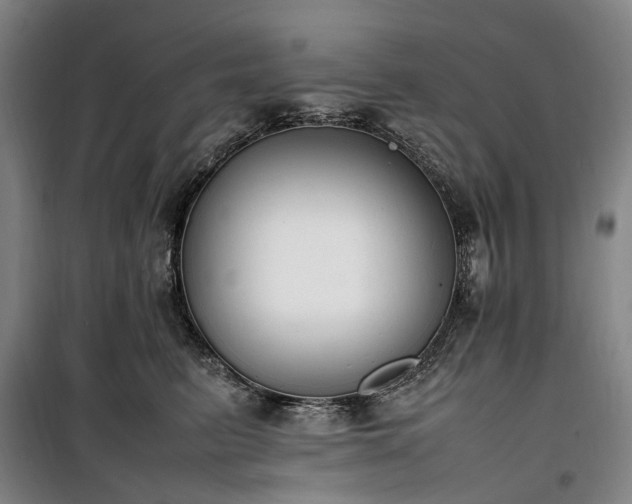 X0000100340615200806121152