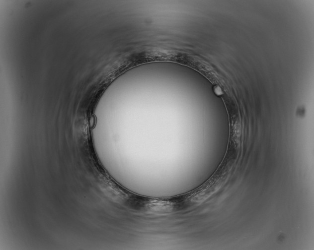 X0000100340617200806121152