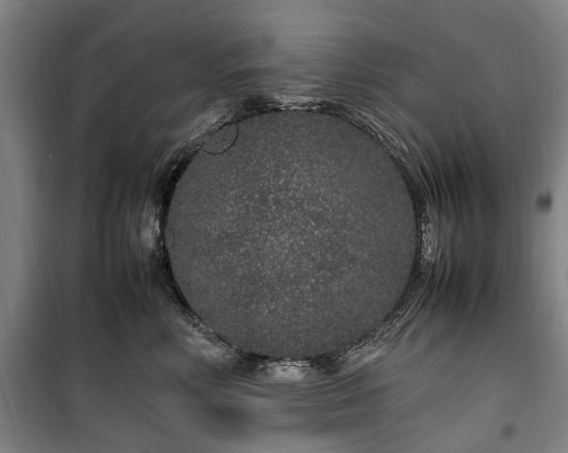 X0000100340618200806121152